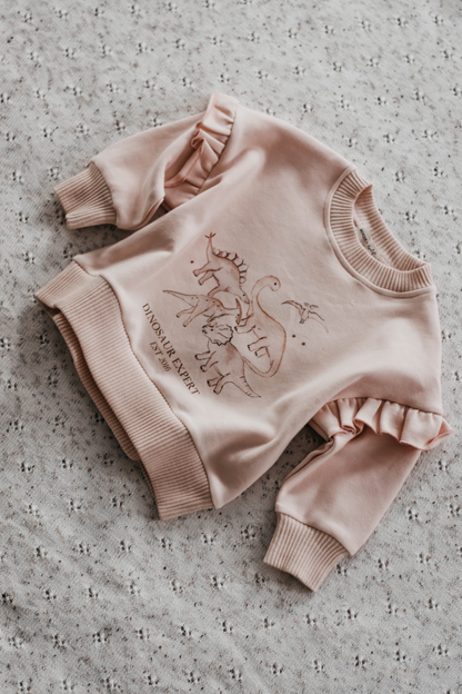 Pink dinosaur jumper best sale